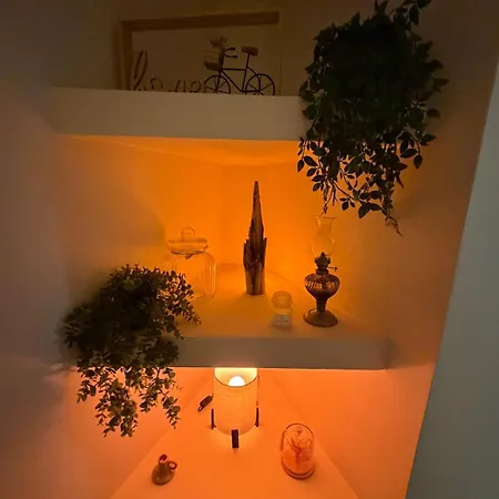 Chaleureux Lejlighed